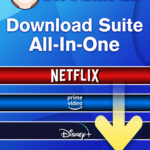StreamFab All-In-One WIN 2 Jahre Lizenz Garantie Download
