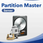 EaseUS Partition Master Server 19 Enterprise WIN 1 Jahr Lizenz Download