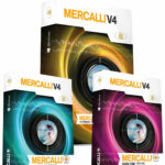 ProDAD Mercalli V4 Edius Suite lebenslange Lizenz Download
