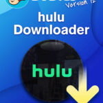 DVDFab Hulu Downloader WIN lebenslange Lizenz Garantie Download