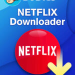 DVDFab Netflix Downloader WIN lebenslange Lizenz Garantie Download