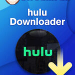 StreamFab Hulu Downloader WIN lebenslange Lizenz Garantie Download